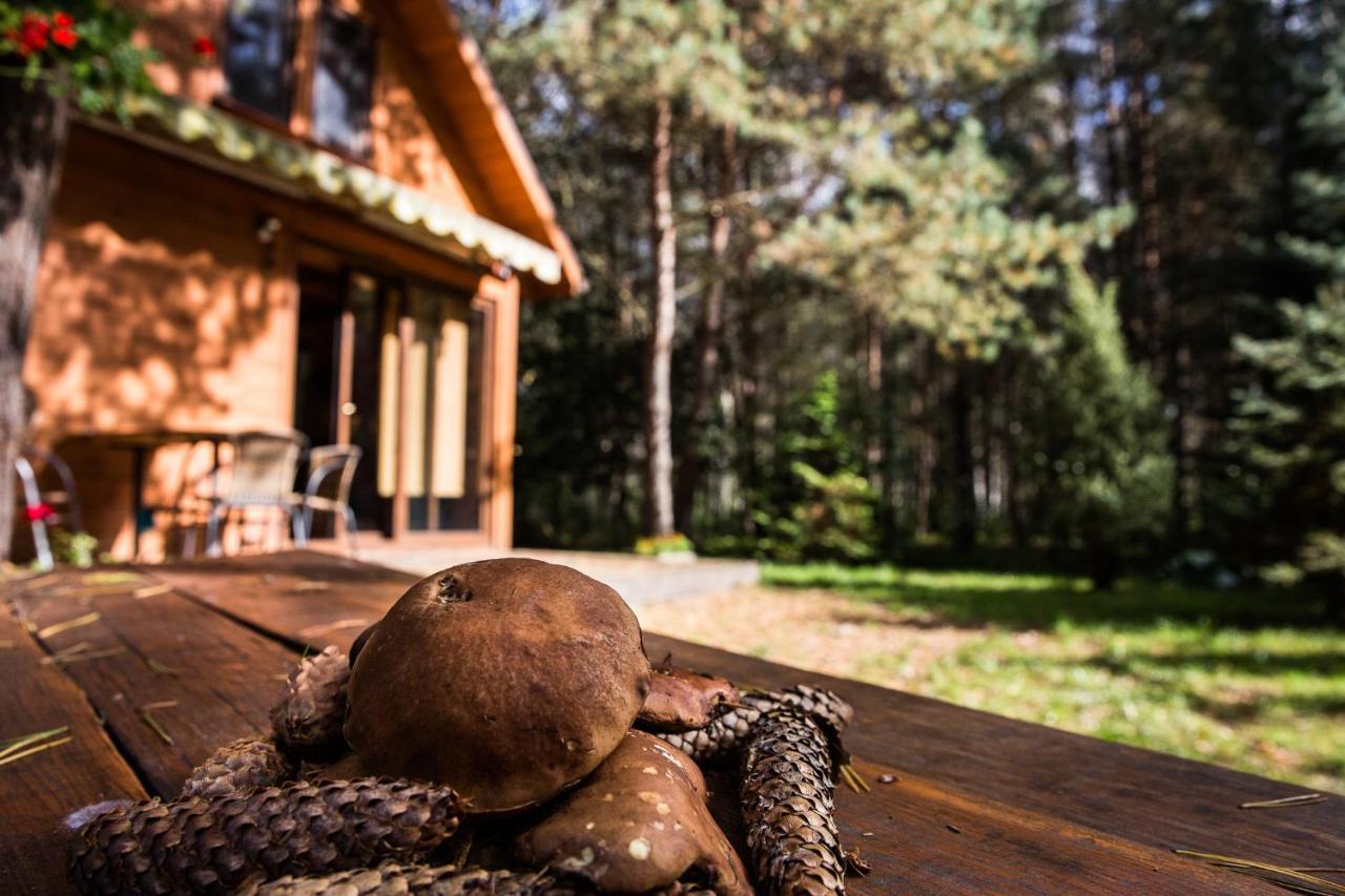 Domek Pod Klonem Zary  Exterior foto